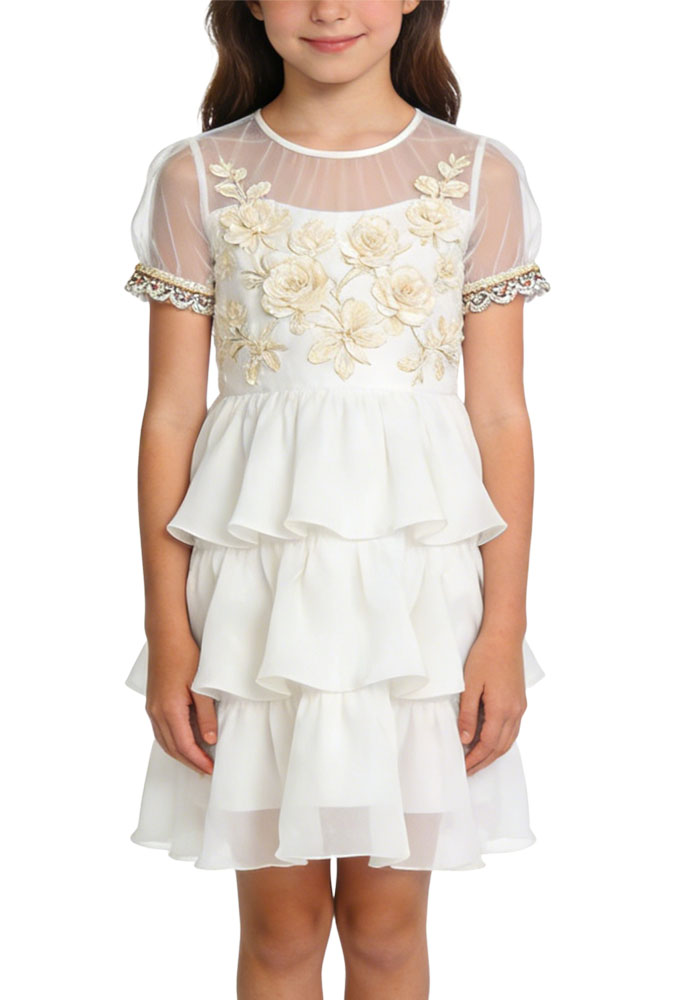 elegant-girls-party-dress-exquisite-cut