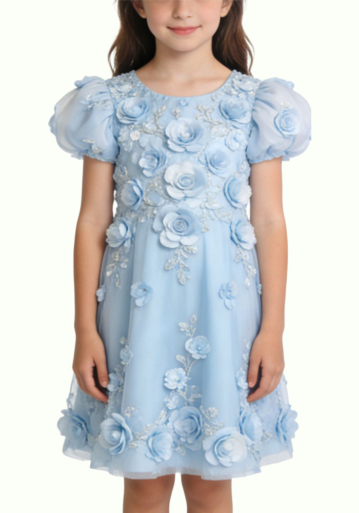 fresh-three-dimensional-floral-embroidery-girls-party-dress