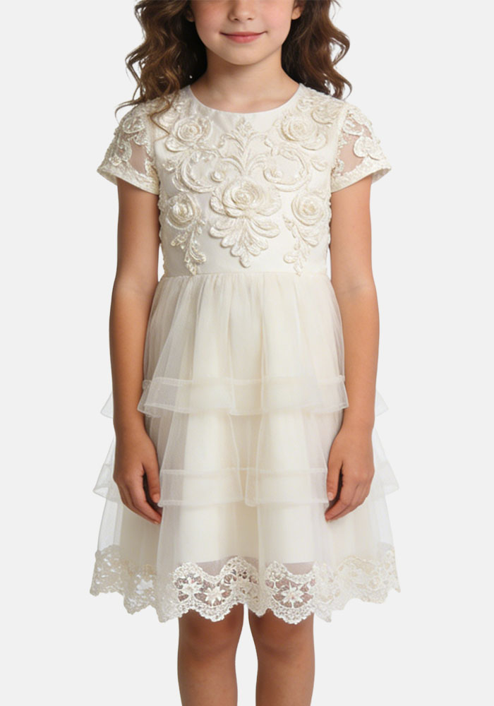 exquisite-three-dimensional-jacquard-girls-princess-party-dress