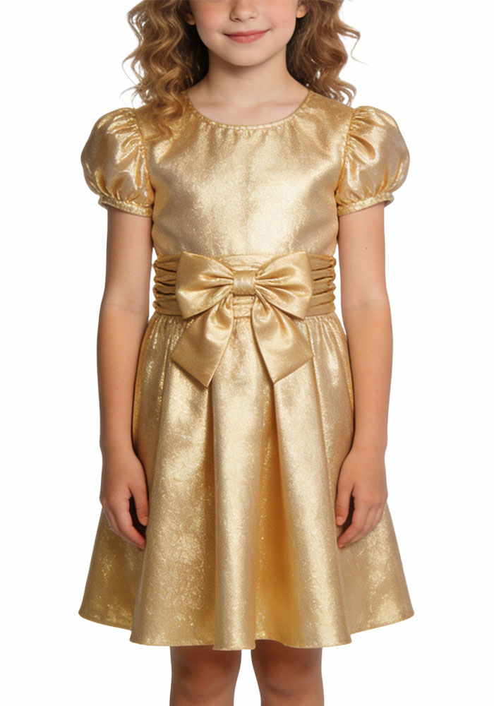 light-luxury-glossy-a-line-girls-dress