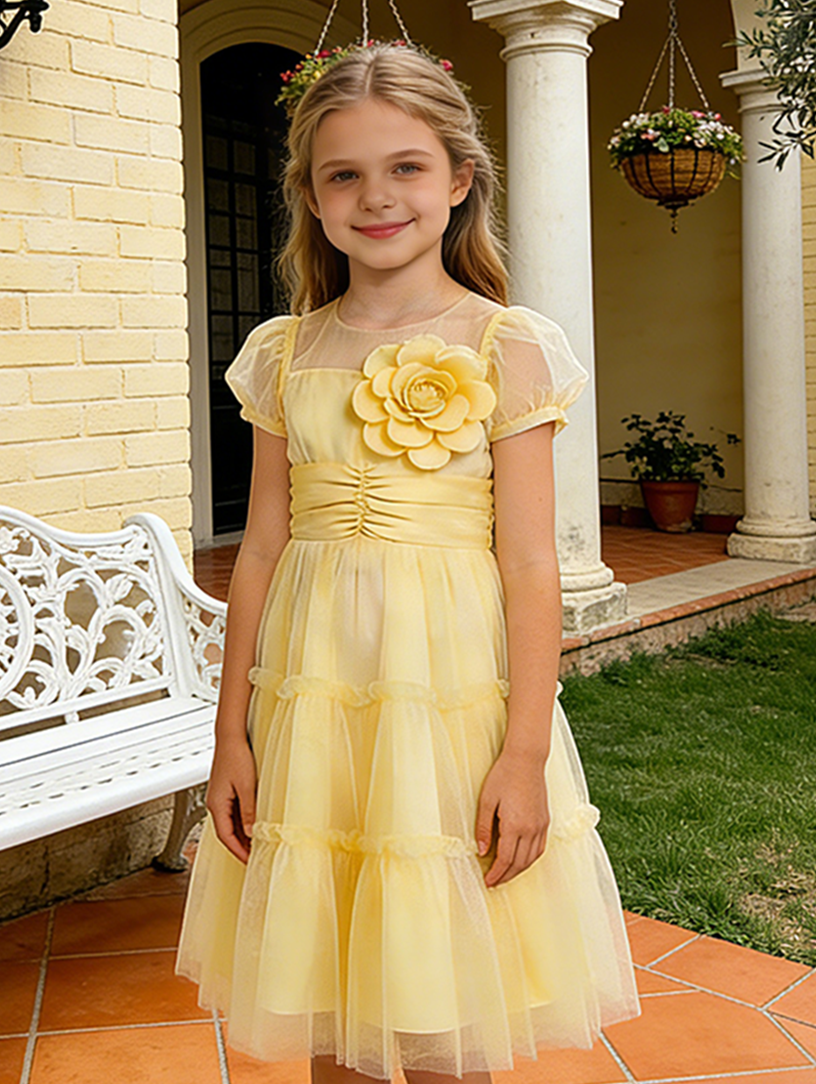 Sweet Dreamy Girl's Party Dress